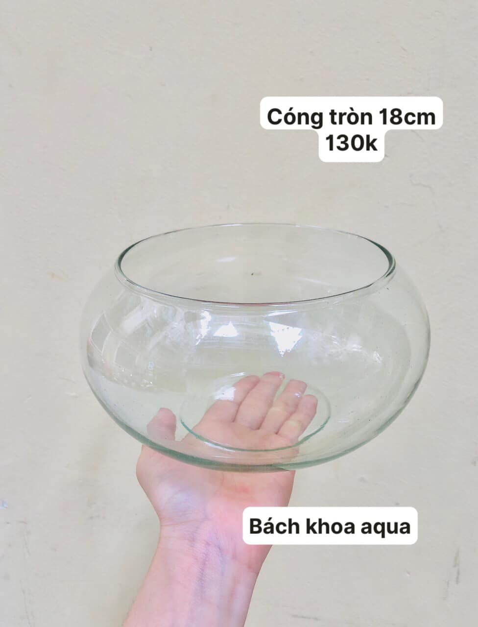 Cóng tròn để bàn đủ kích thước